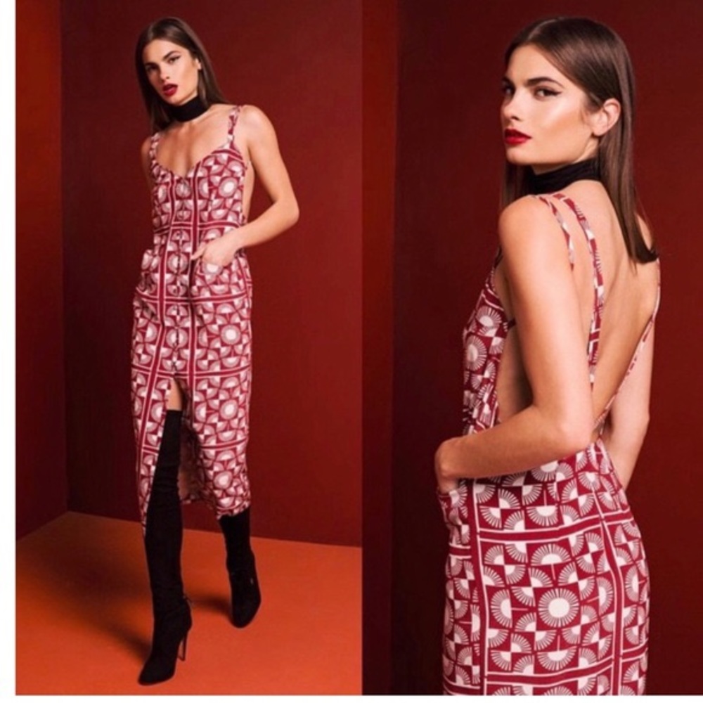 Stone cold fox Gigi dress size 2
